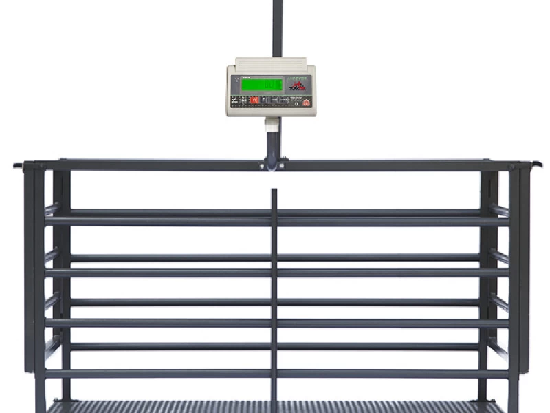 Küçükbaş Hayvan Baskülü TR