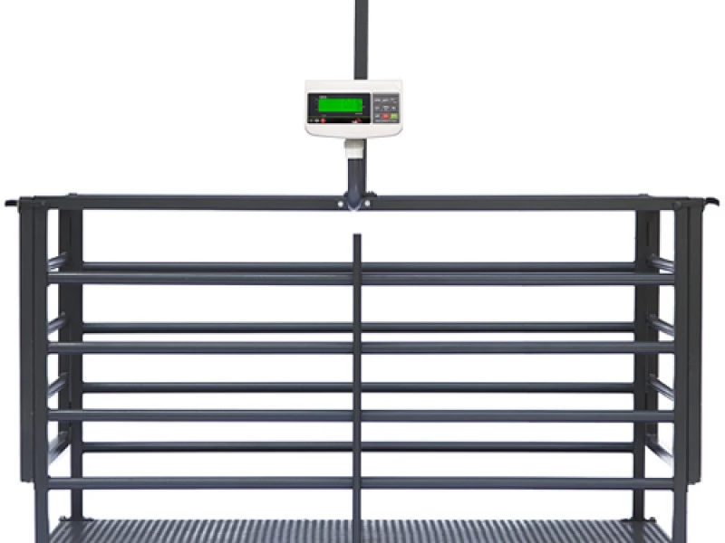 مقياس الأغنام TR4